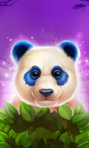 Luck of Panda: Bonus Combo